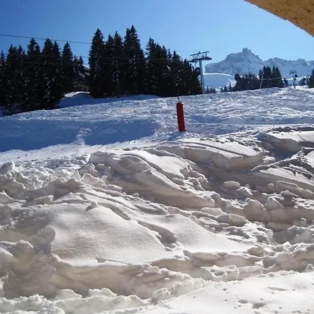 Valmorel, 2 Pieces Au Pied Des Pistes Avec Terrasse, Cuisine Equipee Et Animaux Admis - Fr-1-356-318 Apartment